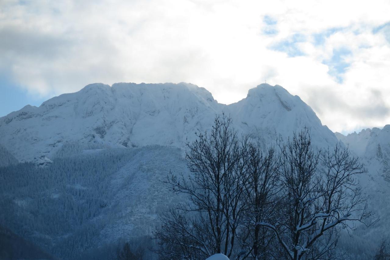 Pensjonat Jastrzebia Turnia Hotel Zakopane Exterior foto